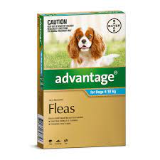 Advantage Dog