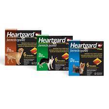Heartgard dog