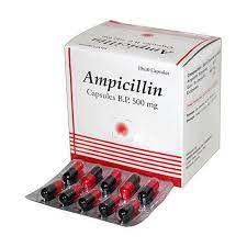 Ampicillin