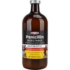 penicillin