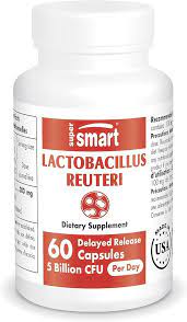 Lactobacillus Reuteri