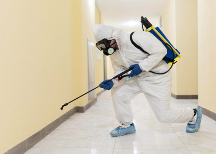 Professional Pest Control